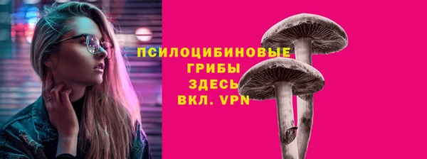 ALPHA-PVP Верхний Тагил