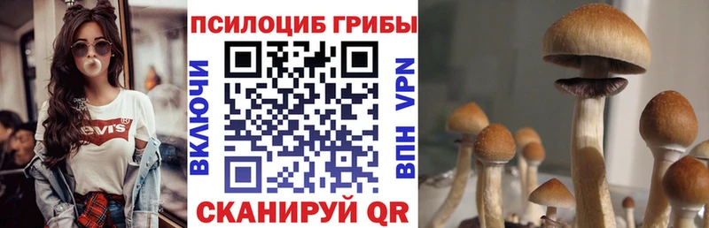 Галлюциногенные грибы GOLDEN TEACHER  цена   Новохопёрск 